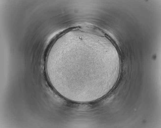 X0000089870979200707262145