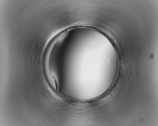 X0000089870981200707262145