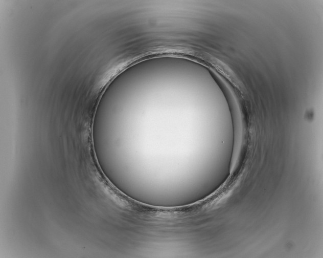 X0000089870985200707262145
