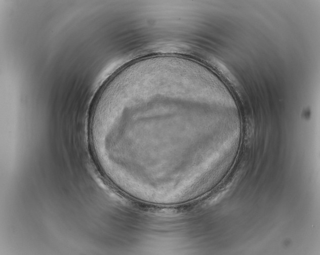 X0000089870986200707262145