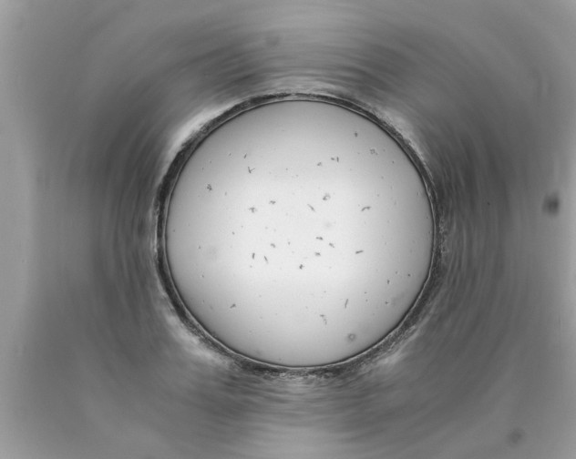 X0000089870987200707262145