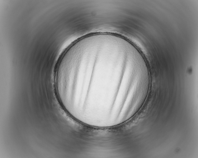 X0000089870990200707262145