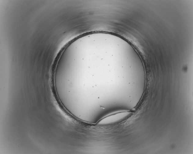 X0000089870991200707262145