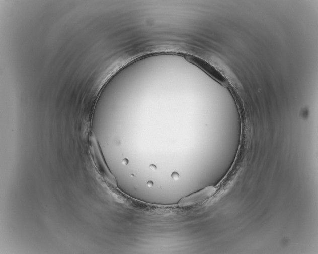 X0000089870993200707262145