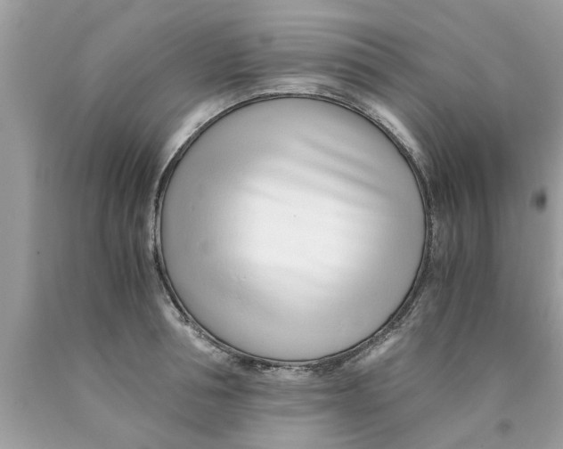 X0000089870994200707262145