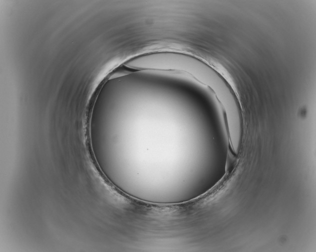 X0000089870997200707262145