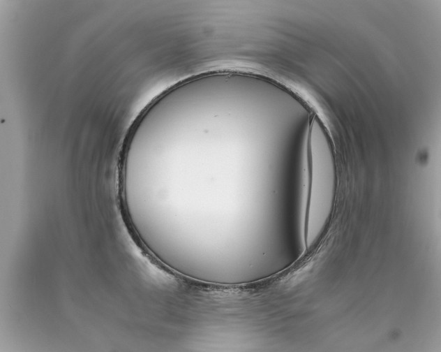 X0000089870999200707262145