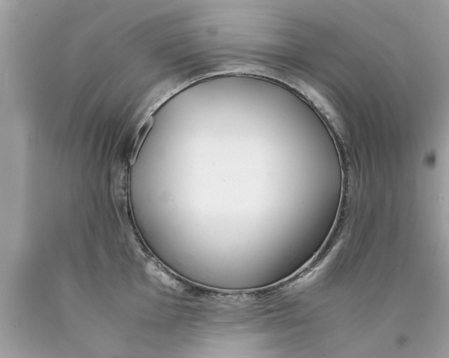 X0000089871001200707262145
