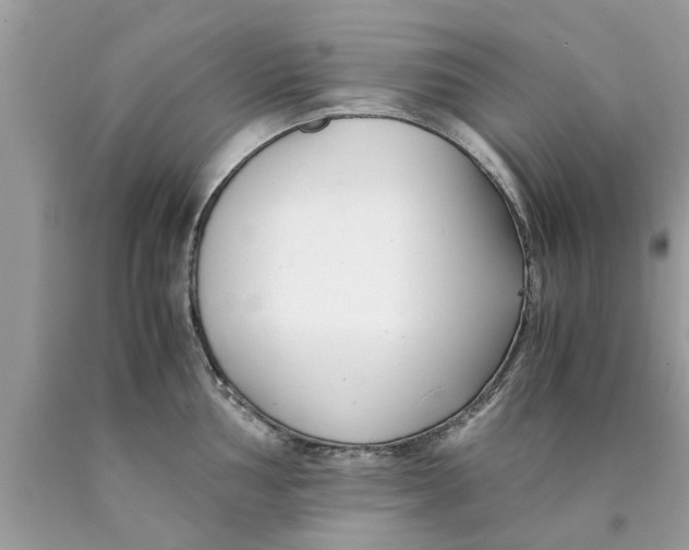 X0000089871002200707262145