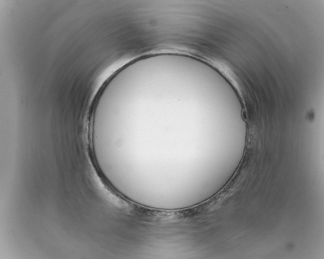 X0000089871003200707262145