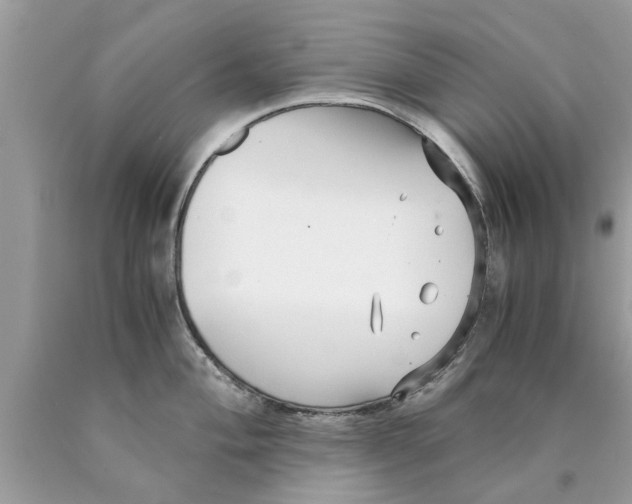 X0000089871004200707262145