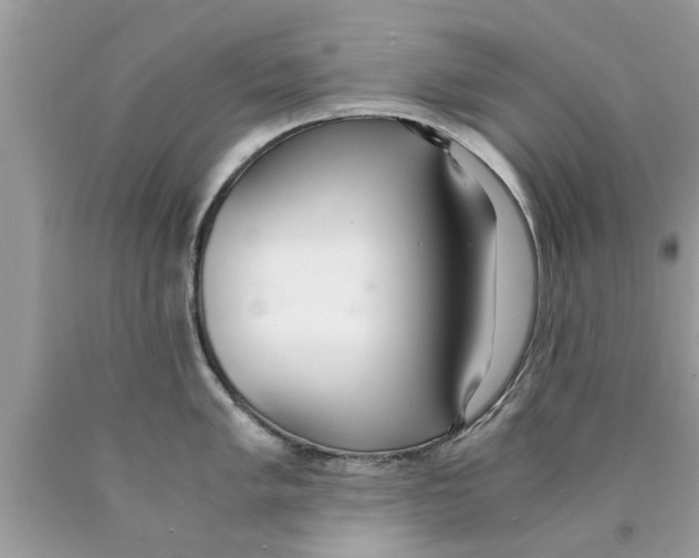 X0000089871005200707262145