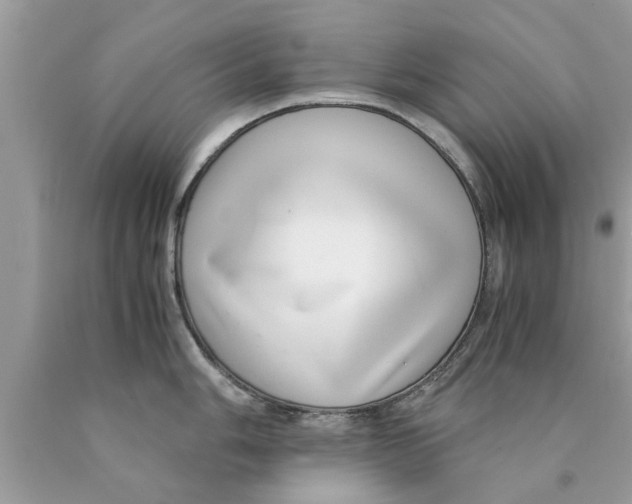 X0000089871006200707262145