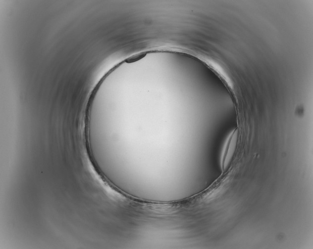 X0000089871007200707262145