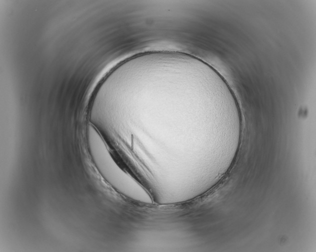 X0000089871008200707262145