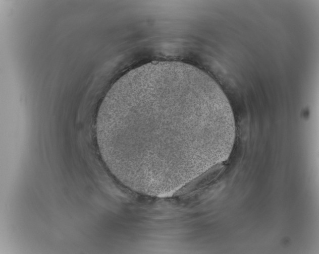 X0000089871009200707262144