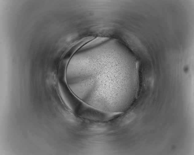 X0000089871010200707262144