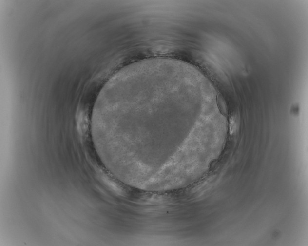 X0000089871011200707262144
