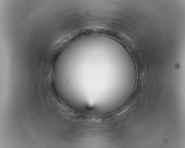 X0000089871014200707262144