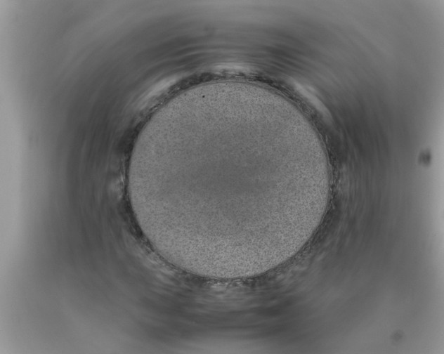 X0000089871015200707262144