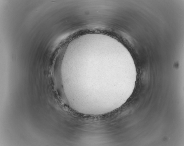 X0000089871016200707262144