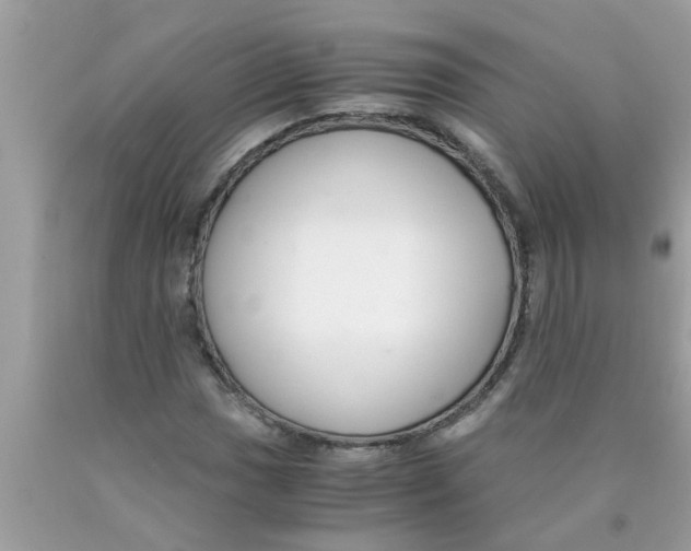 X0000089871017200707262144