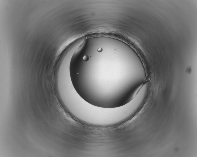 X0000089871018200707262144