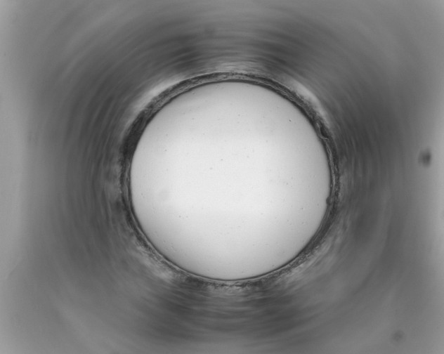 X0000089871019200707262144