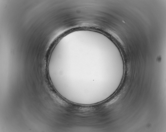 X0000089871021200707262144