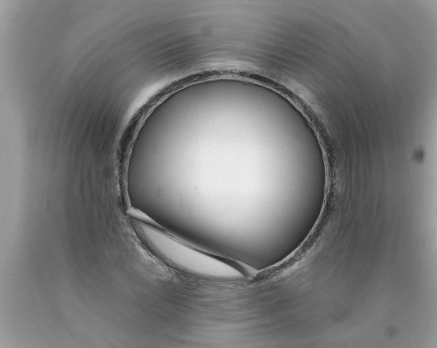 X0000089871022200707262144