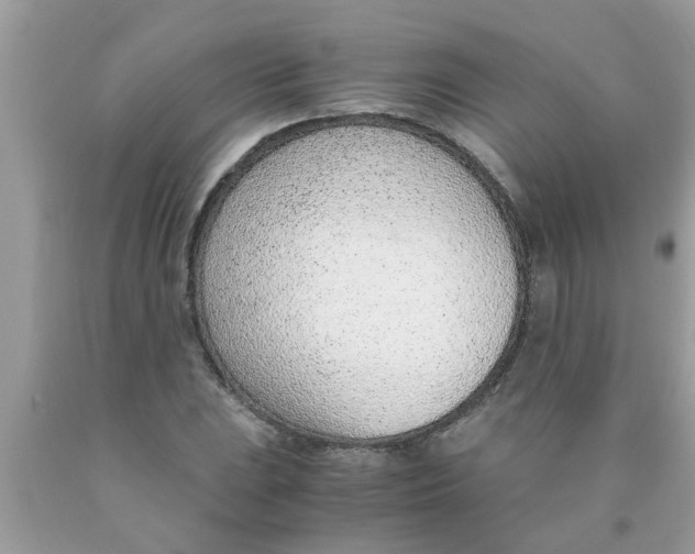X0000089871023200707262144