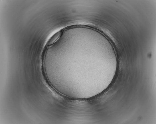 X0000089871024200707262144