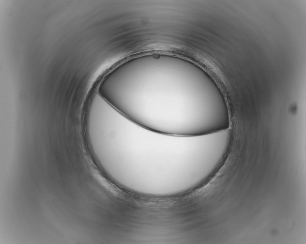 X0000089871026200707262145