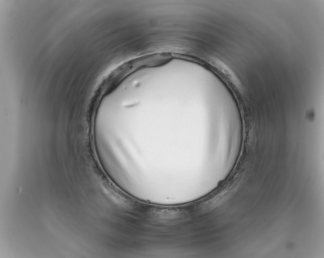 X0000089871027200707262145