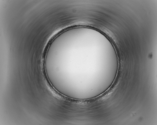 X0000089871029200707262145