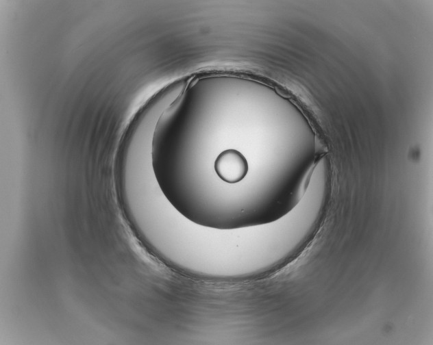 X0000089871030200707262145