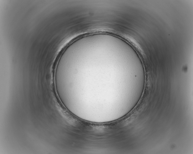 X0000089871031200707262145