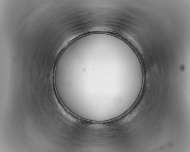 X0000089871033200707262145
