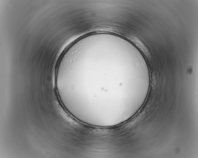 X0000089871036200707262145