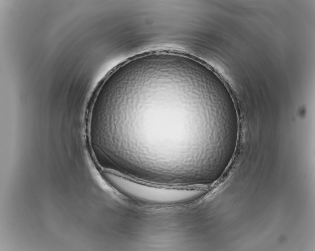 X0000089871038200707262145