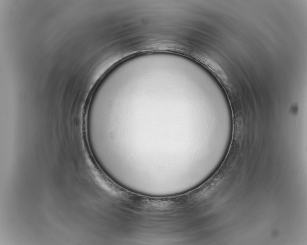 X0000089871039200707262145