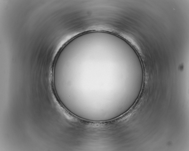 X0000089871040200707262145