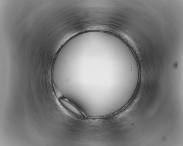 X0000089871041200707262145