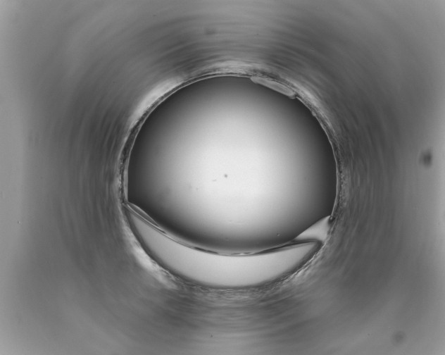 X0000089871042200707262145