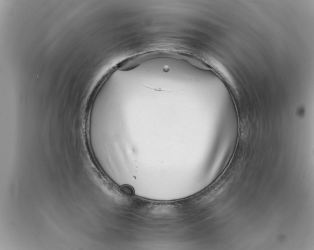 X0000089871043200707262145