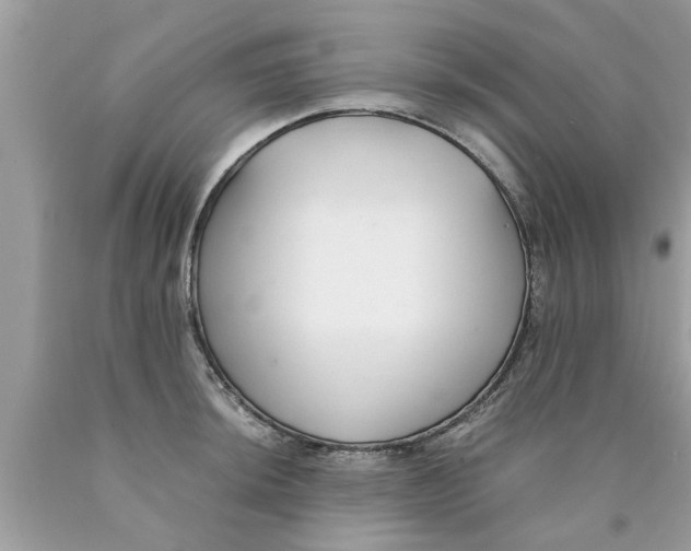 X0000089871044200707262145