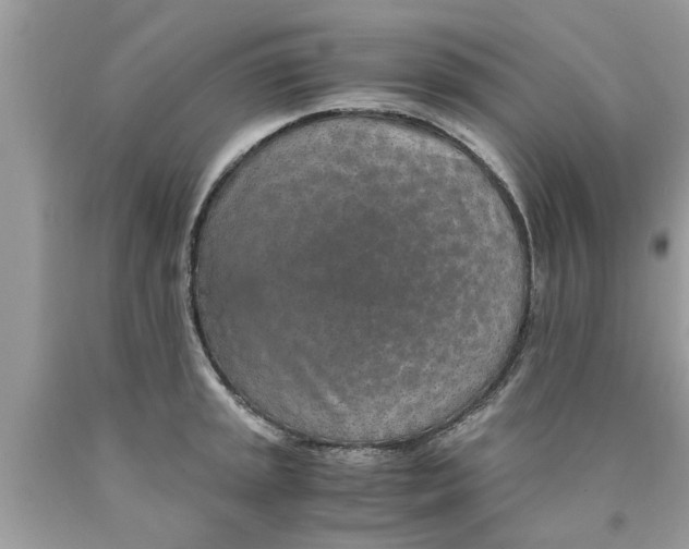X0000089871045200707262145