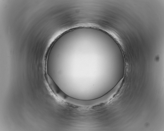 X0000089871046200707262145