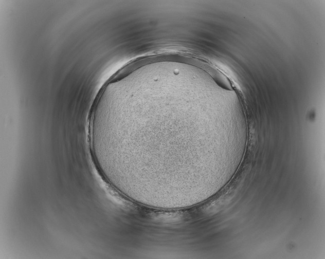 X0000089871047200707262145