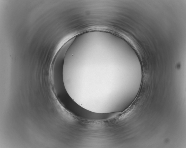 X0000089871050200707262145